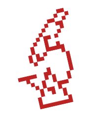 shape